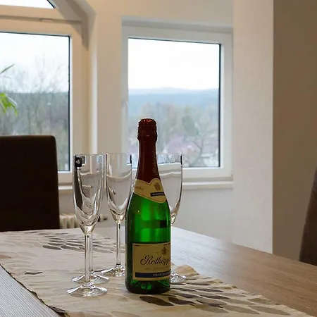 Rennsteigblick Daire *