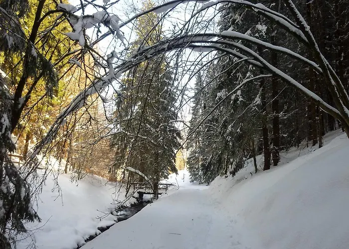Rennsteigblick Tambach-Dietharz